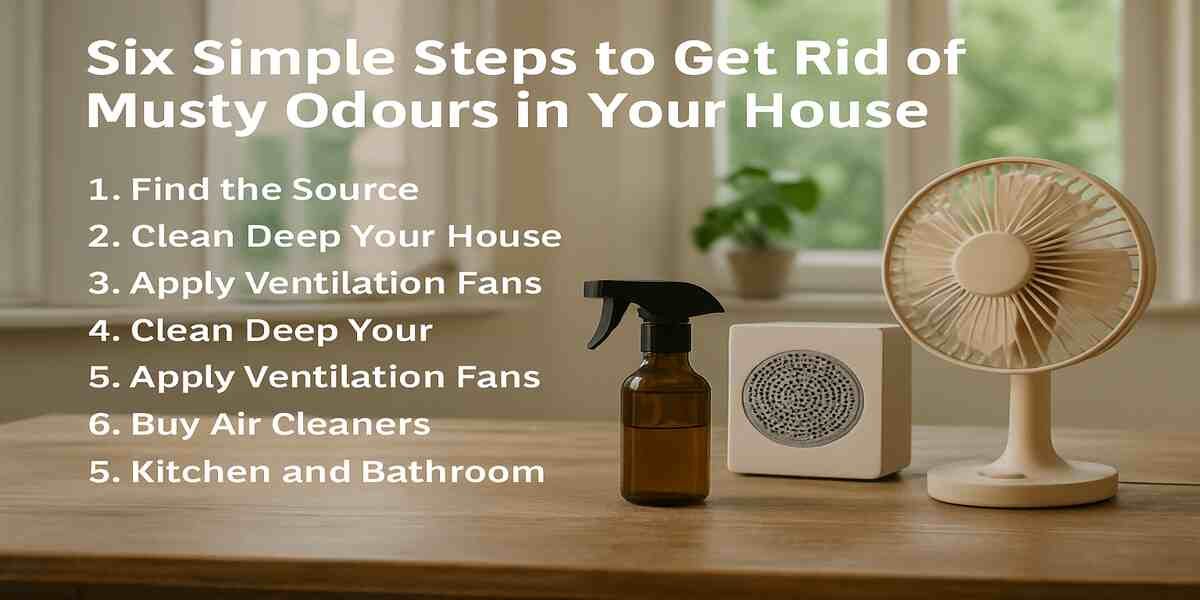 Musty Odours : 6 Easy Steps to Get Rid of Them